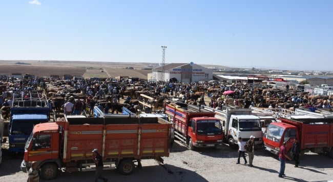 Kırşehir Hayvan Pazarı geçici kapatıldı