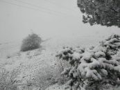 Kırşehir genelinde kar yağışı etkili oluyor