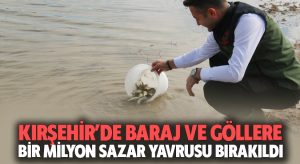 Kırşehir’de 21 göl, gölet ve baraja 1 milyon yavru sazan bırakıldı