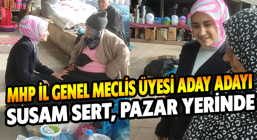MHP İl Genel Meclis Üyesi Aday Adayı Susam Sert, Pazar yerinde