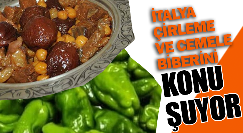 Kırşehir Çirlemesi ve Cemele Biberi “Ark of taste” tescillendi