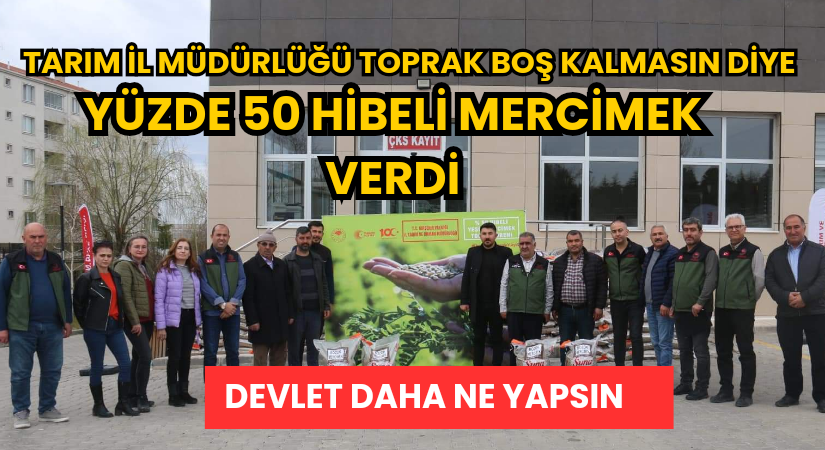 Yüzde 50 hibeli mercimek dağıtıldı 