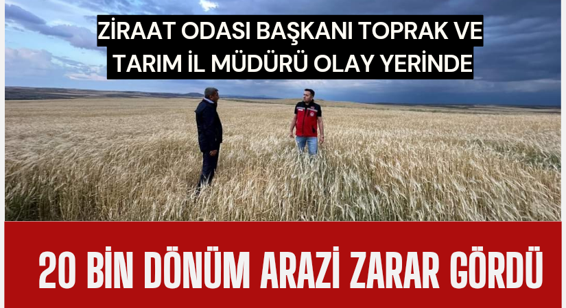 20 bin dönüm arazi dolu nedeniyle zarar gördü