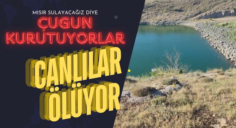 Çugun Baraj Gölü kuruma tehlikesinde