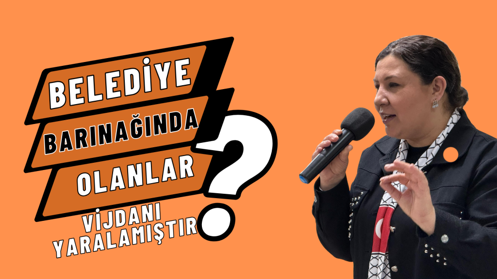 AK Parti Kırşehir İl Başkanı Seher Ünsal: CHP’li Kırşehir Belediyesi’ne ait hayvan barınağında yaşanan vahşet, vicdanları yaralamıştır!