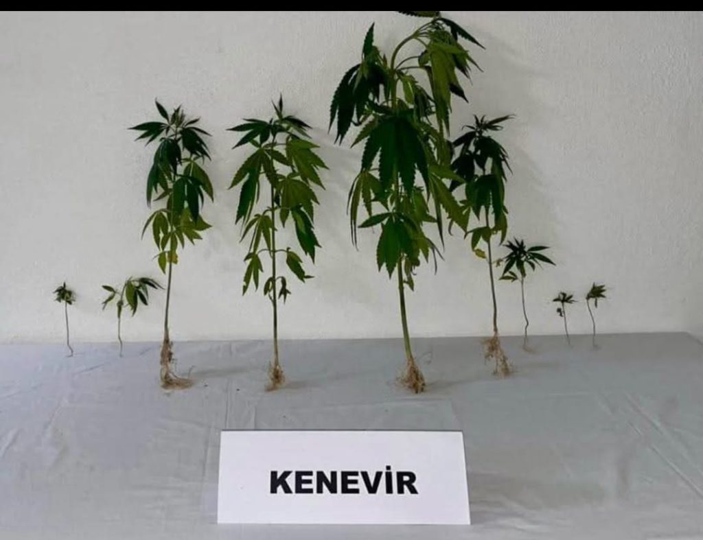 Kırşehir’in Akpınar ilçesinde uyuşturucu operasyonu 