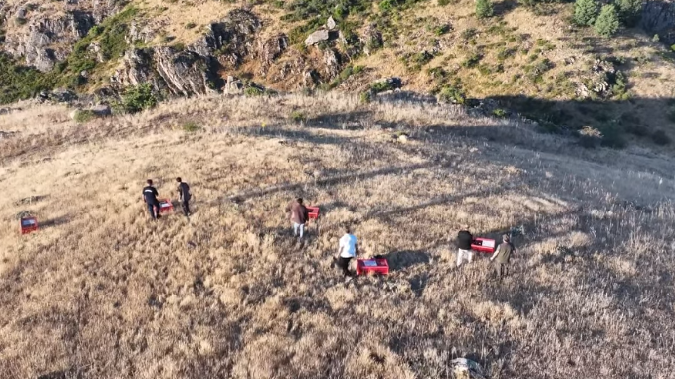 600 KEKLİK DOĞAYA KANAT ÇIRPTI!