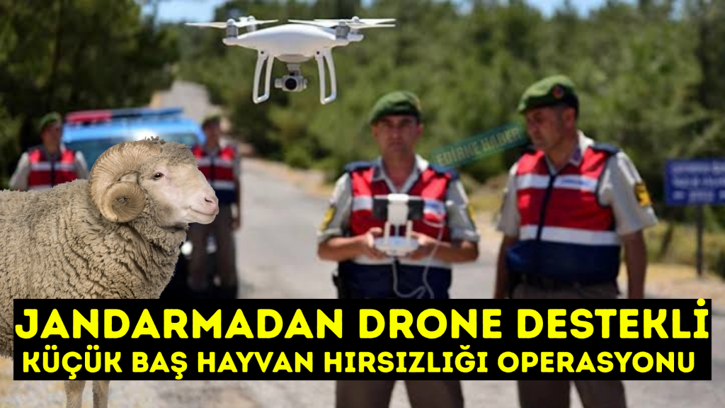 KIRŞEHİR JANDARMADAN DRONE DESTEKLİ KOYUN OPERASYONU