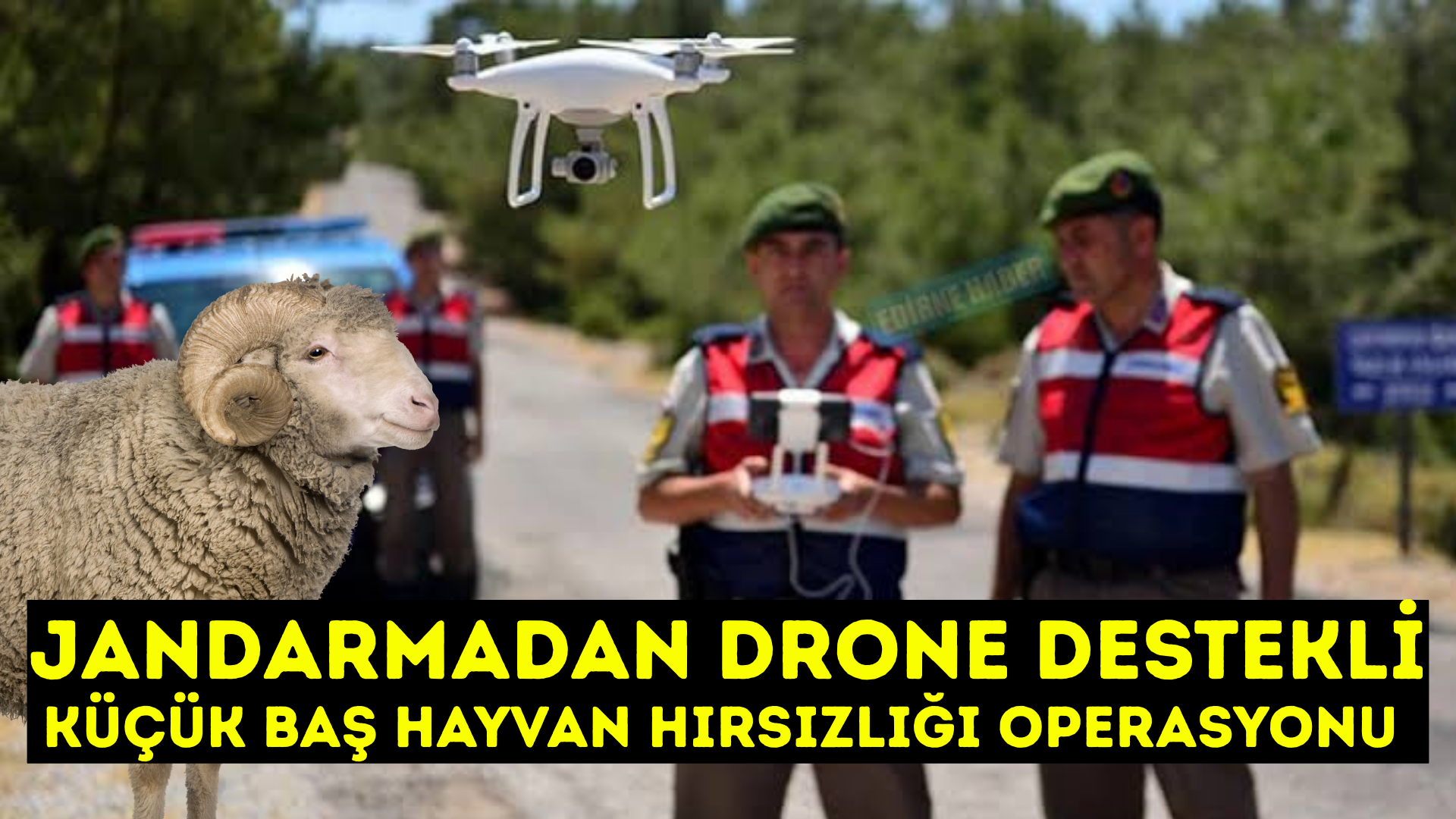 KIRŞEHİR JANDARMADAN DRONE DESTEKLİ KOYUN OPERASYONU