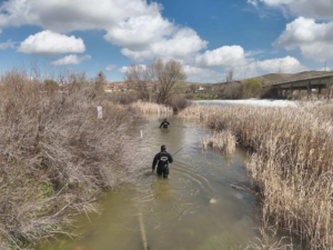 Kırşehir’de Kayıp Şahıs Seferberliği: Kesikköprü Mevkiinde Geniş Çaplı Arama