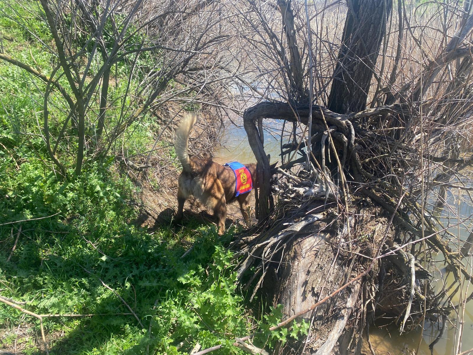 KIRŞEHİR’DE KAYIP ŞAHIS ARAMALARI SÜRÜYOR